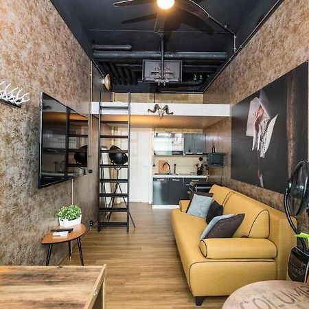 Dresden Loft An Der Elbeアパートメント エクステリア 写真