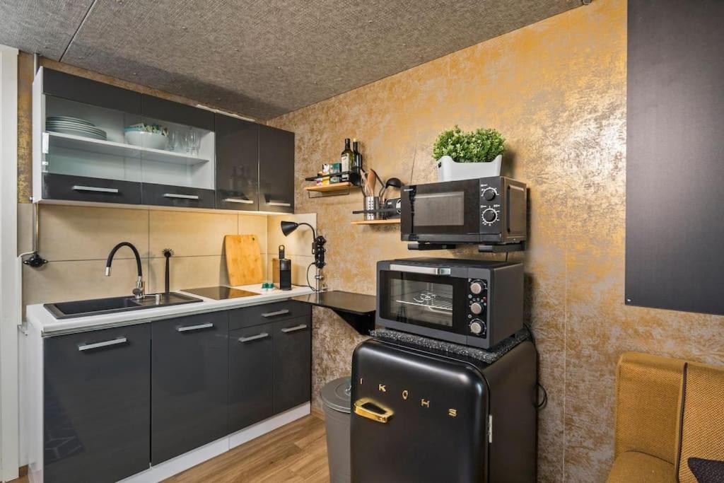 Dresden Loft An Der Elbeアパートメント エクステリア 写真